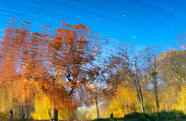 Herbst-Ahornblätter — Stockfoto