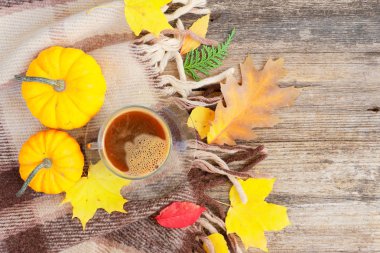 Sonbahar arkaplanından çıkar