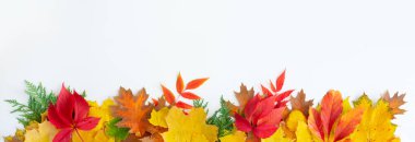 Doğal düşüş arka plan bırakır