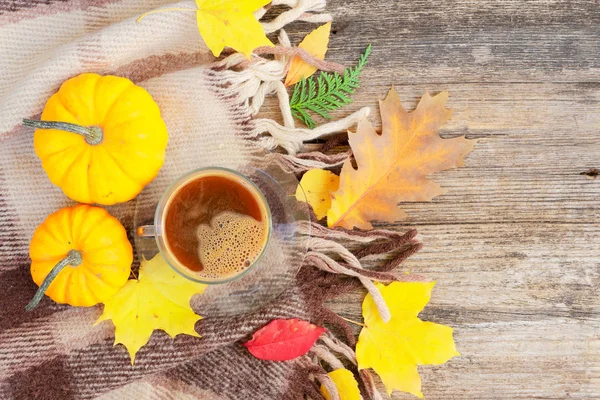 Sonbahar arkaplanından çıkar