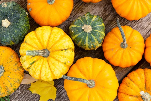 Pumpkin on table — Stock Photo, Image