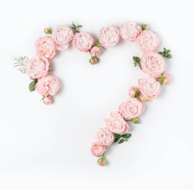 Çiçeklerin düz konumu