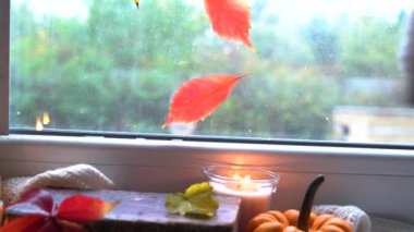 Sonbahar arkaplanından çıkar