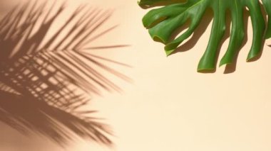 Yaz düzlüğü manzarası