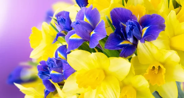 Boeket van narcis en iris bloemen — Stockfoto