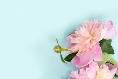 Taze şakayık çiçekleri