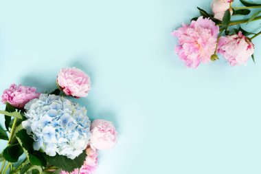 Taze şakayık çiçekleri