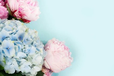 Taze şakayık çiçekleri