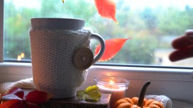 Sonbahar arkaplanından çıkar