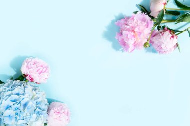 Taze şakayık çiçekleri