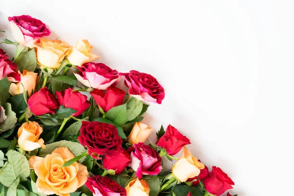 Помаранчеві та червоні троянди — стокове фото