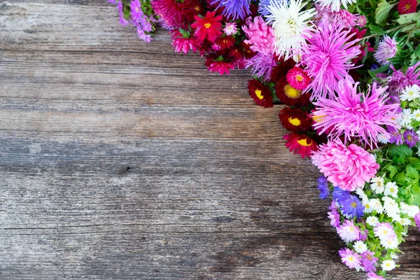 Sonnenblumen auf weiß — Stockfoto