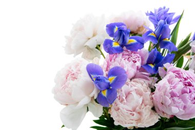 Taze şakayık çiçekleri