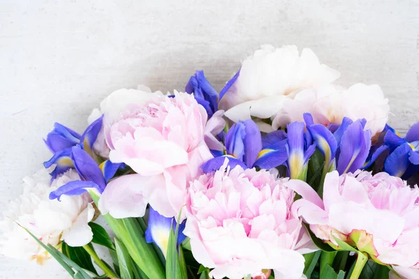 Flores frescas de peonía — Foto de Stock