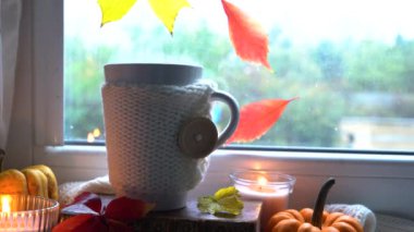 Sonbahar arkaplanından çıkar