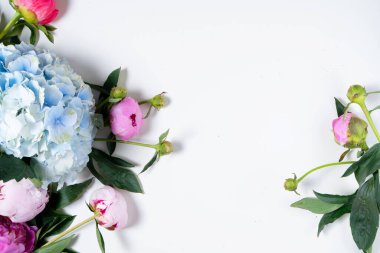 Taze şakayık çiçekleri