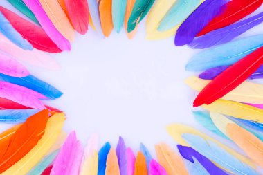 Tüylerden yapılmış renkli desen.