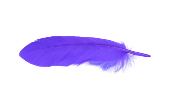 Feather ov er white — Stock Photo, Image