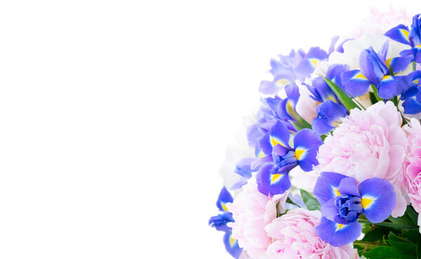 Свежие пионские цветы