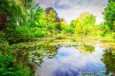 Giverny 'de zambaklı gölet
