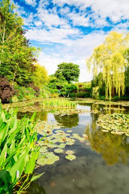 Giverny 'de zambaklı gölet