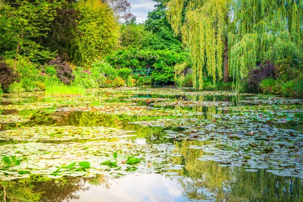 Staw z liliami w Giverny — Zdjęcie stockowe