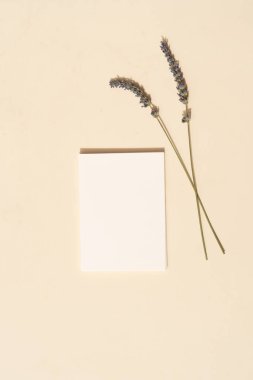 Yaz kırtasiyesi taklit sahnesi.