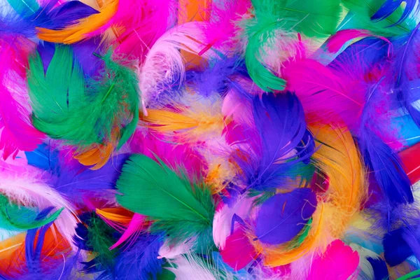 Цветной узор из перьев. — стоковое фото