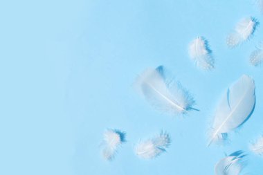 Tüylerden yapılmış renkli desen.