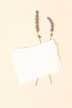 Yaz kırtasiyesi taklit sahnesi.