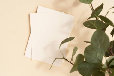 Yaz kırtasiyesi taklit sahnesi.