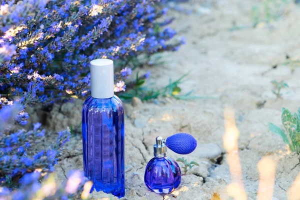 Campo de floración de lavanda con botellas de productos esenciales — Foto de Stock