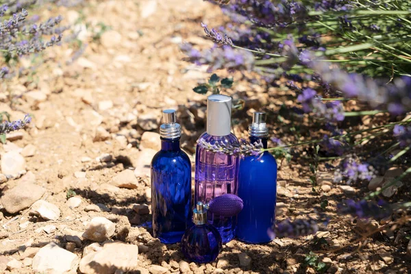 Campo di lavanda con bottiglie di prodotti essenza — Foto Stock