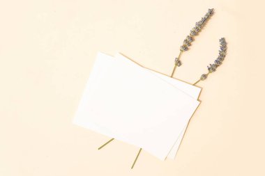 Yaz kırtasiyesi taklit sahnesi.