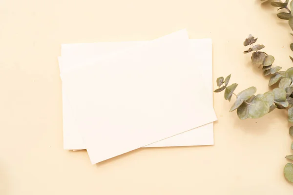 Summer stationery mock-up scene. — Stock Photo, Image