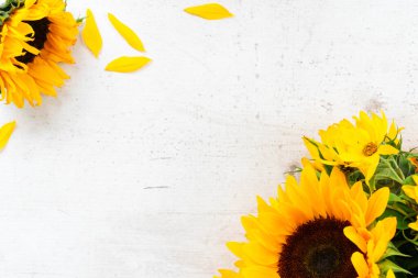 Beyaz üzerine ay çiçekleri