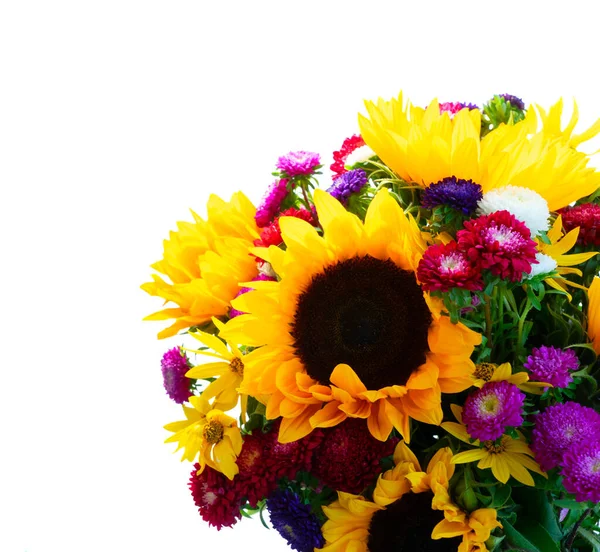 Sunflowers on white — Stock Photo, Image