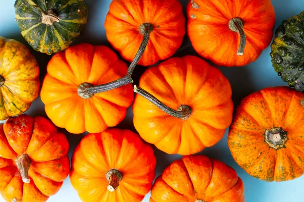 Pumpkin on table — Stock Photo, Image