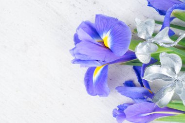 Taze iris çiçekleri