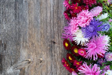 Beyaz üzerine ay çiçekleri