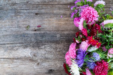 Beyaz üzerine ay çiçekleri