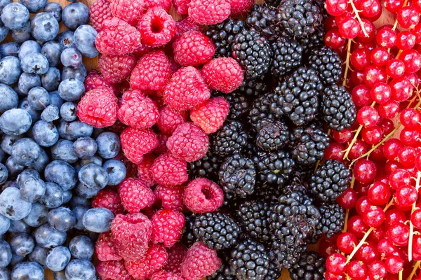 Bluberry, raspberry, blackberry and red currrunt — Stock Photo, Image