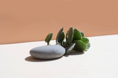 En düşük ürün görüntüsü