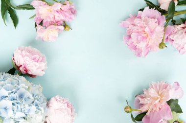 Taze şakayık çiçekleri