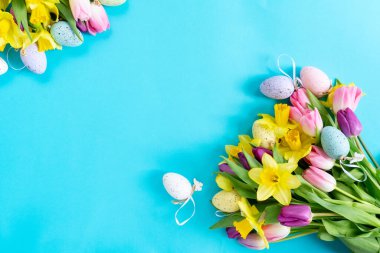 laleler ve nergis çiçekleri