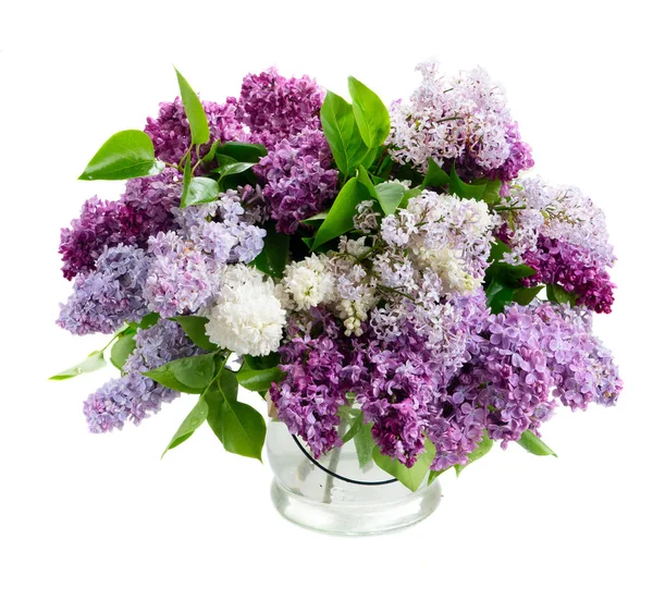 Fresh lilac flowers — Stock Photo, Image