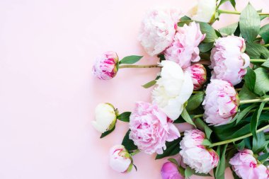 Taze şakayık çiçekleri