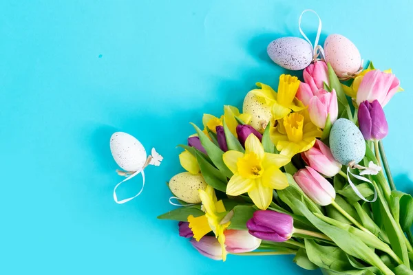 Tulips and daffodils flowers — Stock Photo, Image