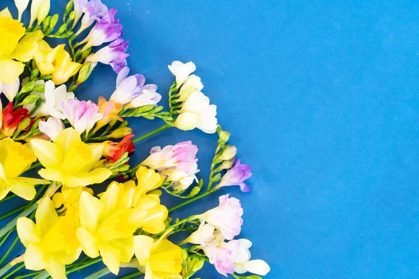 Narcisos florecientes, jacintos y flores de freesia — Foto de Stock