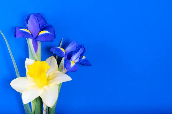Bouquet di narcisi e fiori di iris — Foto Stock
